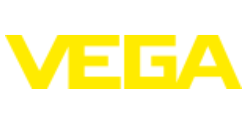 VEGA 仪表